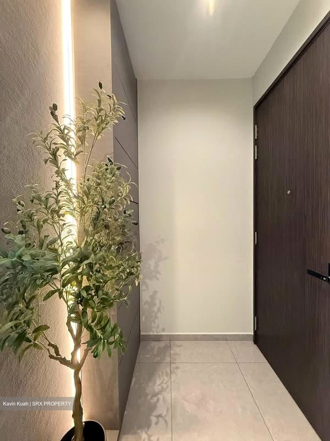 Parc Clematis (D5), Apartment #545824941